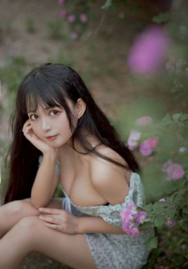熊出没年货在线完整免费观看_HD高清视频观看